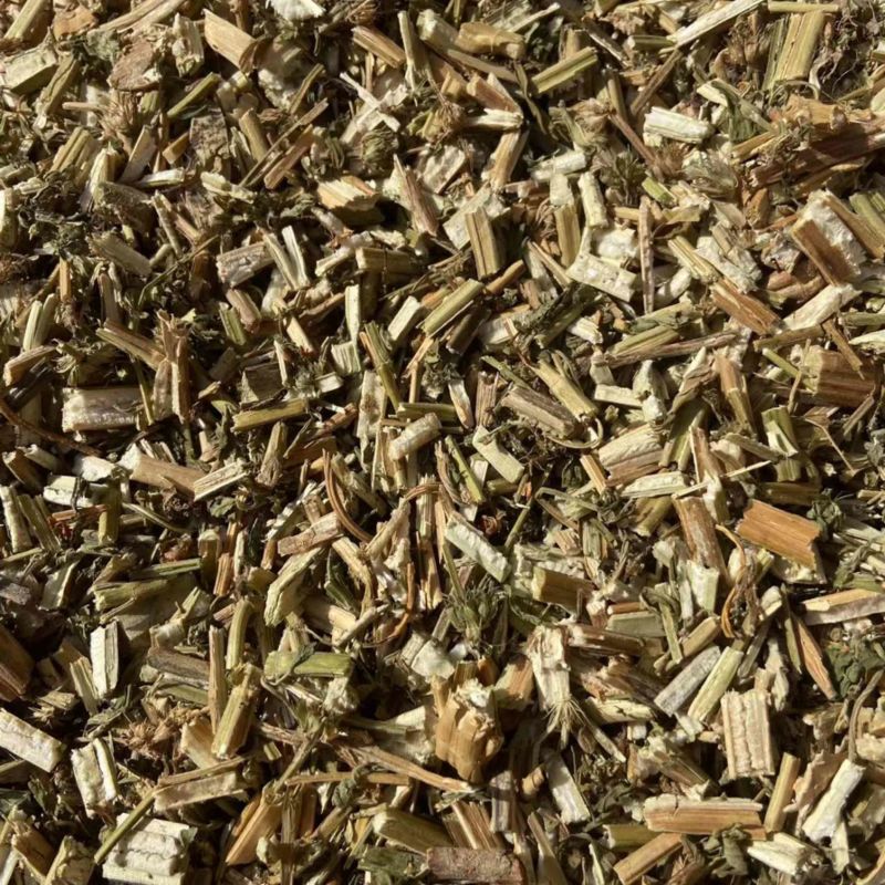 益母草河南产地直销大量现货供应欢迎来电咨询选购