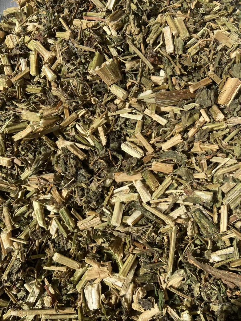 益母草河南产地直销大量现货供应欢迎来电咨询选购