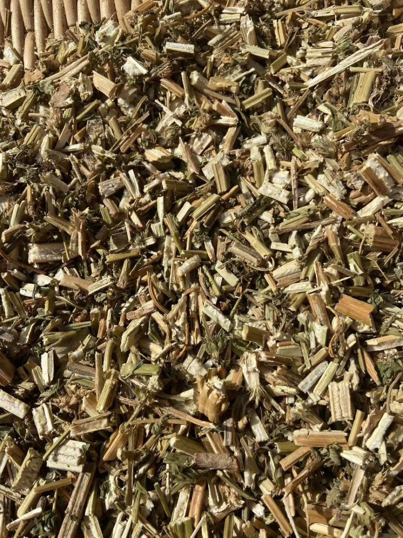 益母草河南产地直销大量现货供应欢迎来电咨询选购