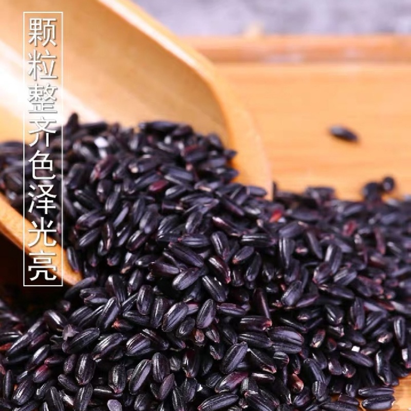 黑米（黑珍珠，大红袍）量大从优，欢迎来电咨询