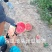 代办代发2K冰糖子小吊瓜小糖丸西瓜找车装车一条服务
