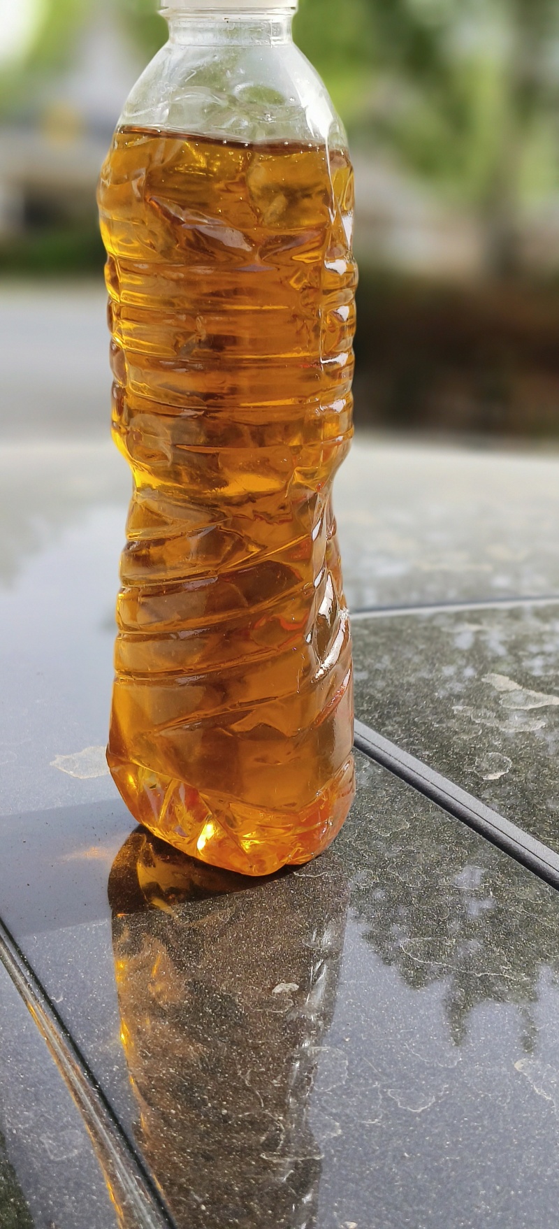 桐油