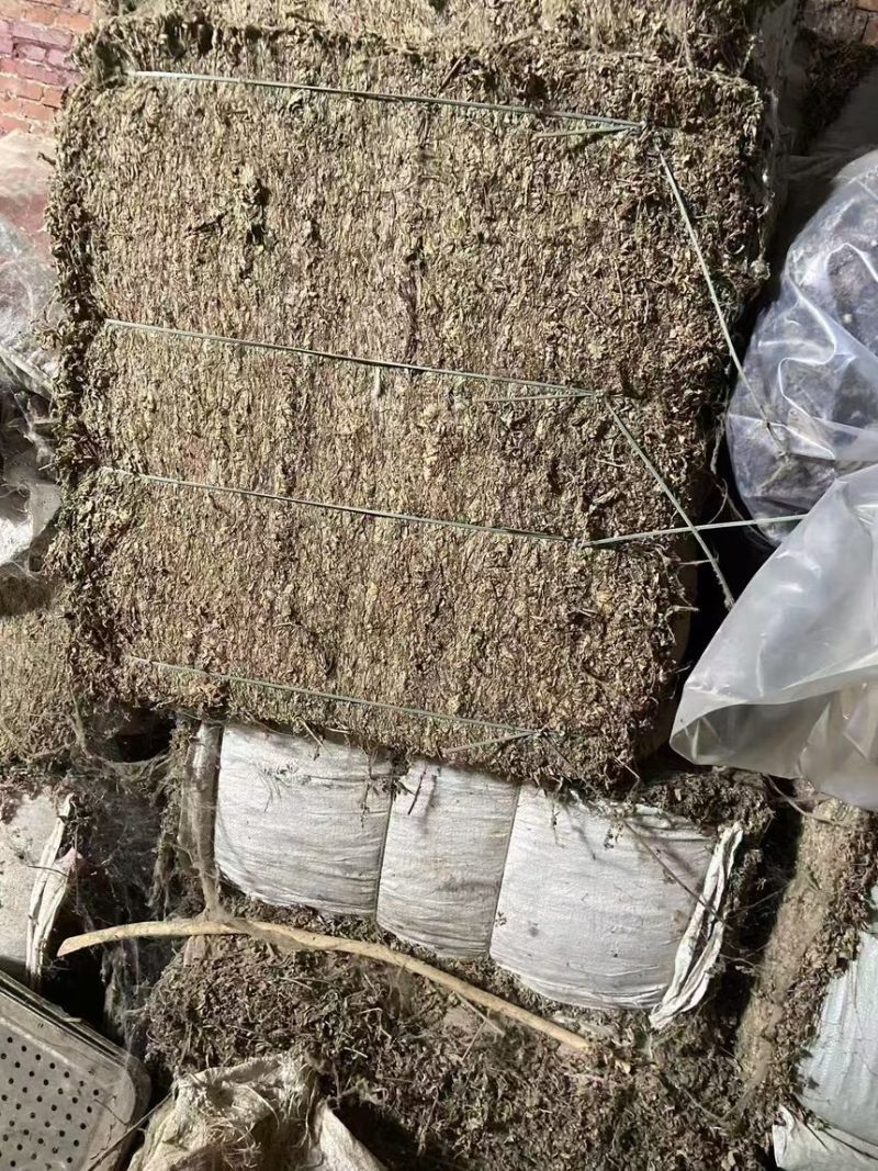 三年陈艾叶艾叶产地直销规模大货源充足欢迎咨询