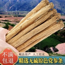 甘肃大号党参正宗岷县野党参大条无硫磺煲汤野生特一级