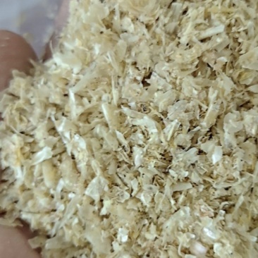 玉米白皮，可直接投喂，适口性好，非常好的反刍饲料，全国发货。