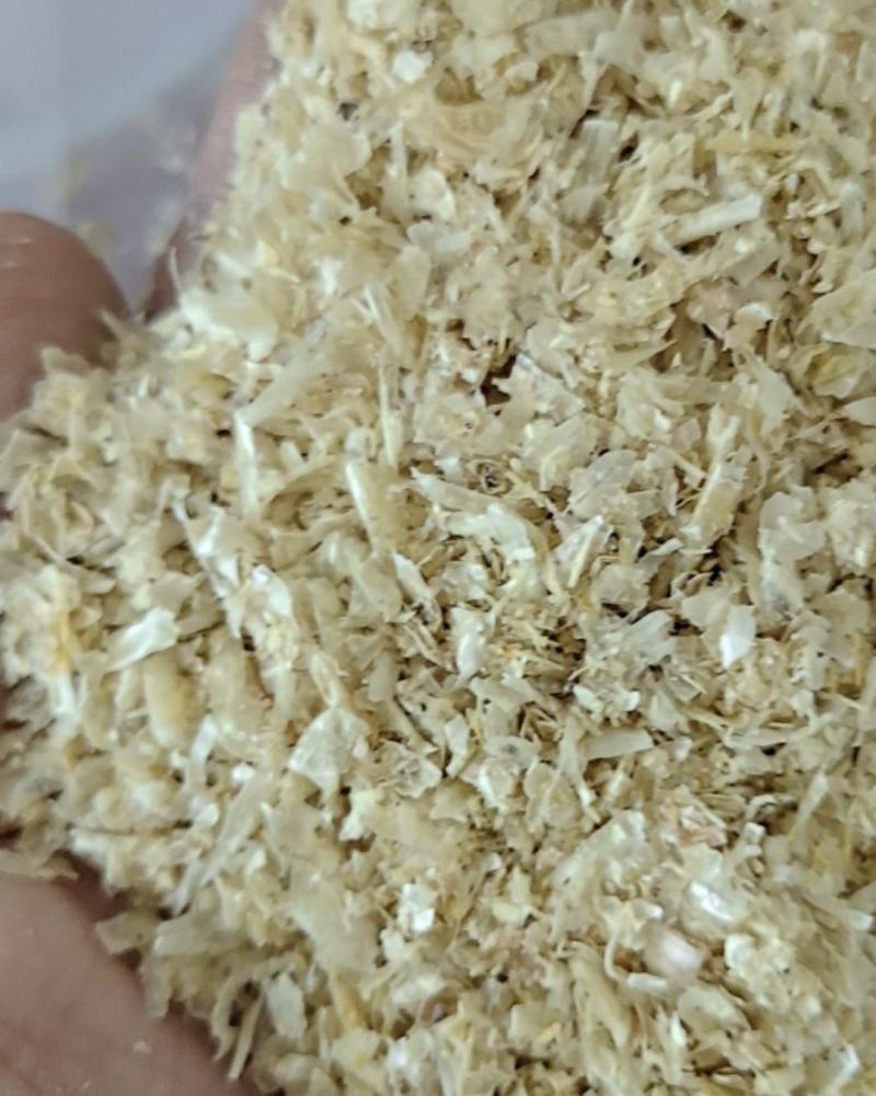 玉米白皮，可直接投喂，适口性好，非常好的反刍饲料，全国发货。