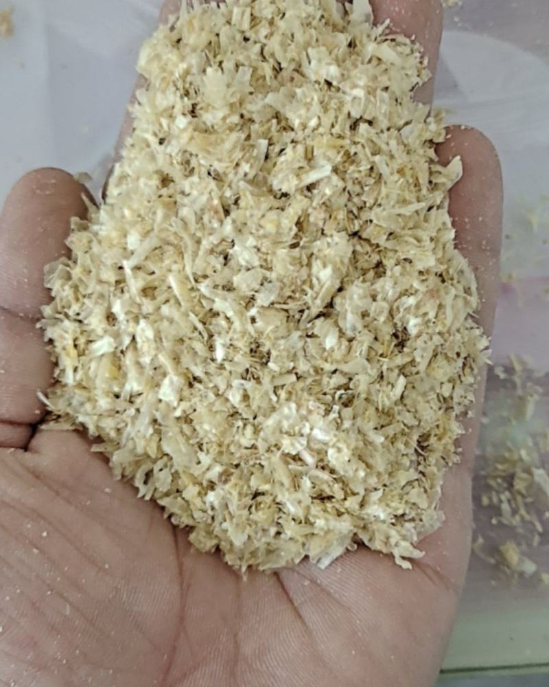玉米白皮，可直接投喂，适口性好，非常好的反刍饲料，全国发货。