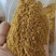 （保毒素）玉米酒糟DDGS，育肥**，猪牛羊鸡鸭鹅都爱吃！！