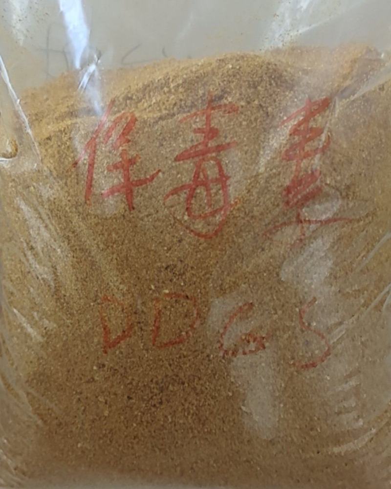 （保毒素）玉米酒糟DDGS，育肥**，猪牛羊鸡鸭鹅都爱吃！！