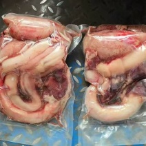 国产牛鞭宝，精油无油，个头均匀，全国冷链均可发货