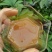 2025春茶恩施富硒茶利川红茶芽尖茶蜜桃香