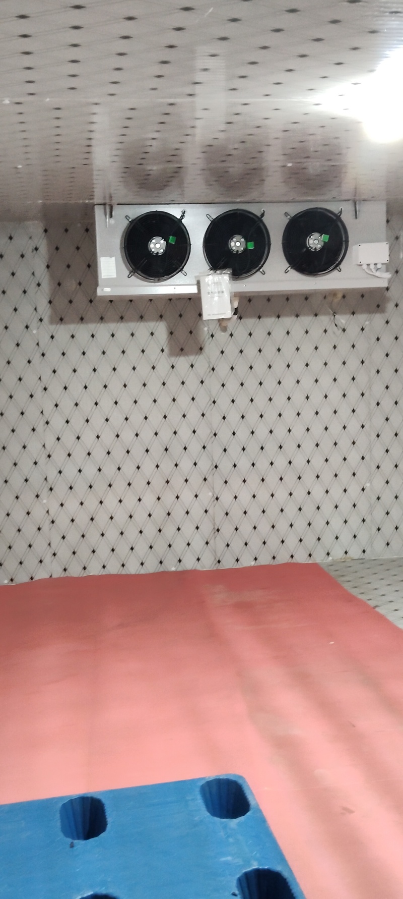 产地直发，保质保量