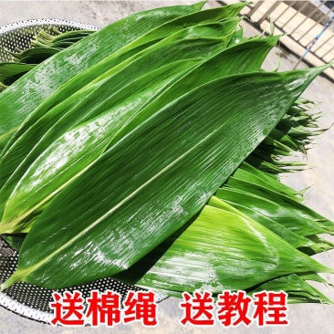 真空粽叶一箱50袋×50片，叶片大，质量问题包售后