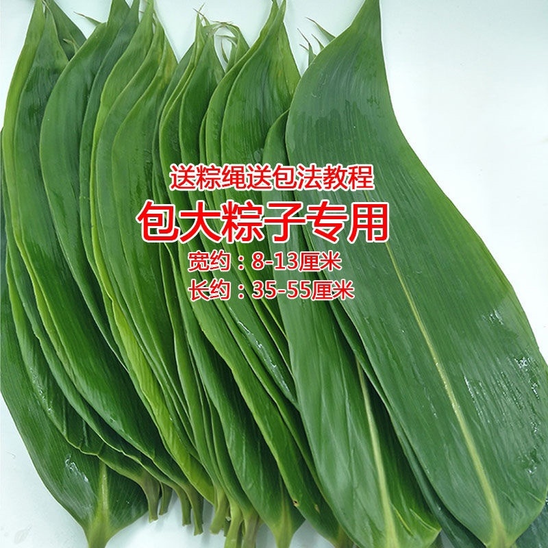 真空粽叶一箱50袋×50片，叶片大，质量问题包售后
