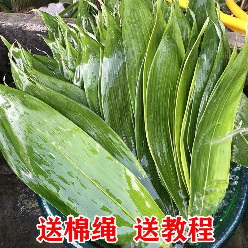 真空粽叶一箱50袋×50片，叶片大，质量问题包售后