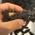 大连辽大火拉缸盐海参刺好条形好火候好5.5斤工厂水发