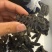 大连辽大火拉缸盐海参刺好条形好火候好5.5斤工厂水发