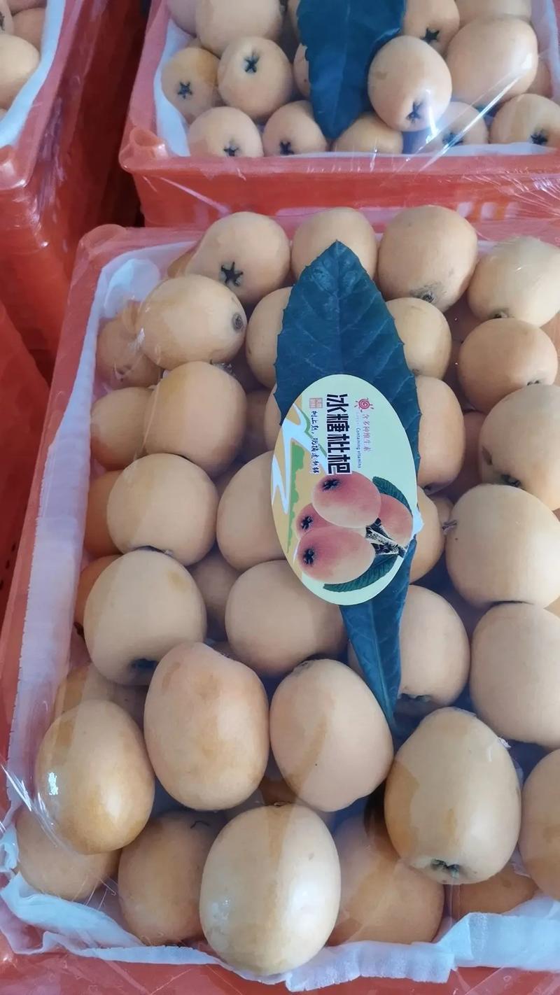 大五星批把
