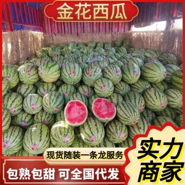 陕西金花西瓜/基地大量上货中/包熟包甜全国发货