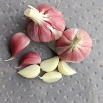 徐州丰县川蒜，苔蒜，量大从优，欢迎新老客户联系。