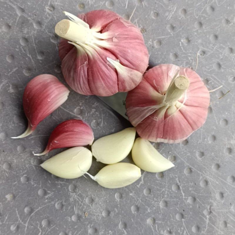 徐州丰县川蒜，苔蒜，量大从优，欢迎新老客户联系。