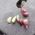 徐州丰县川蒜，苔蒜，量大从优，欢迎新老客户联系。