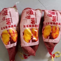 【社区团购供货】烟台榴莲蜜薯丝滑红薯3斤4斤网兜装整车发