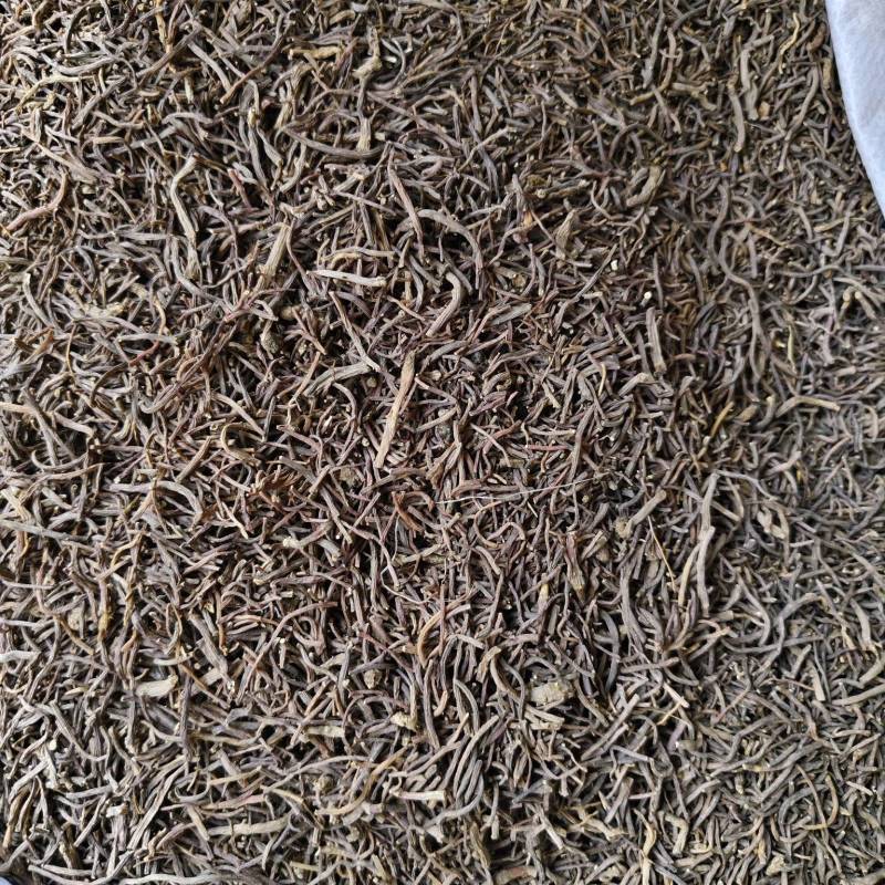 中药材紫菀河北正宗道地水洗紫菀根散装批发量大从优