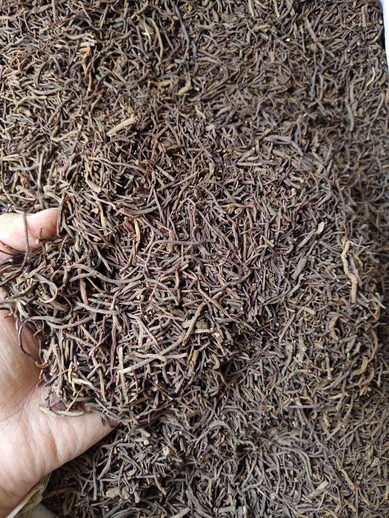 中药材紫菀河北正宗道地水洗紫菀根散装批发量大从优