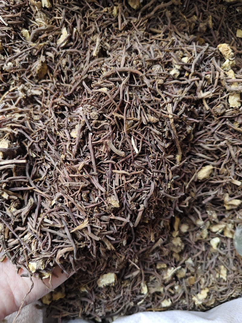 中药材紫菀河北正宗道地水洗紫菀根散装批发量大从优
