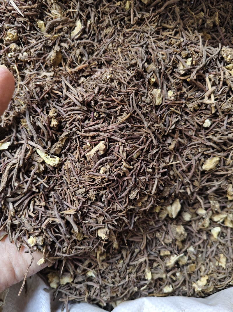 中药材紫菀河北正宗道地水洗紫菀根散装批发量大从优