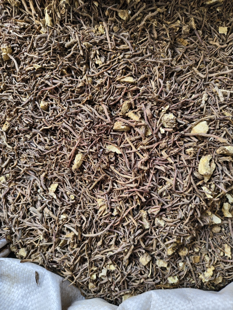 中药材紫菀河北正宗道地水洗紫菀根散装批发量大从优