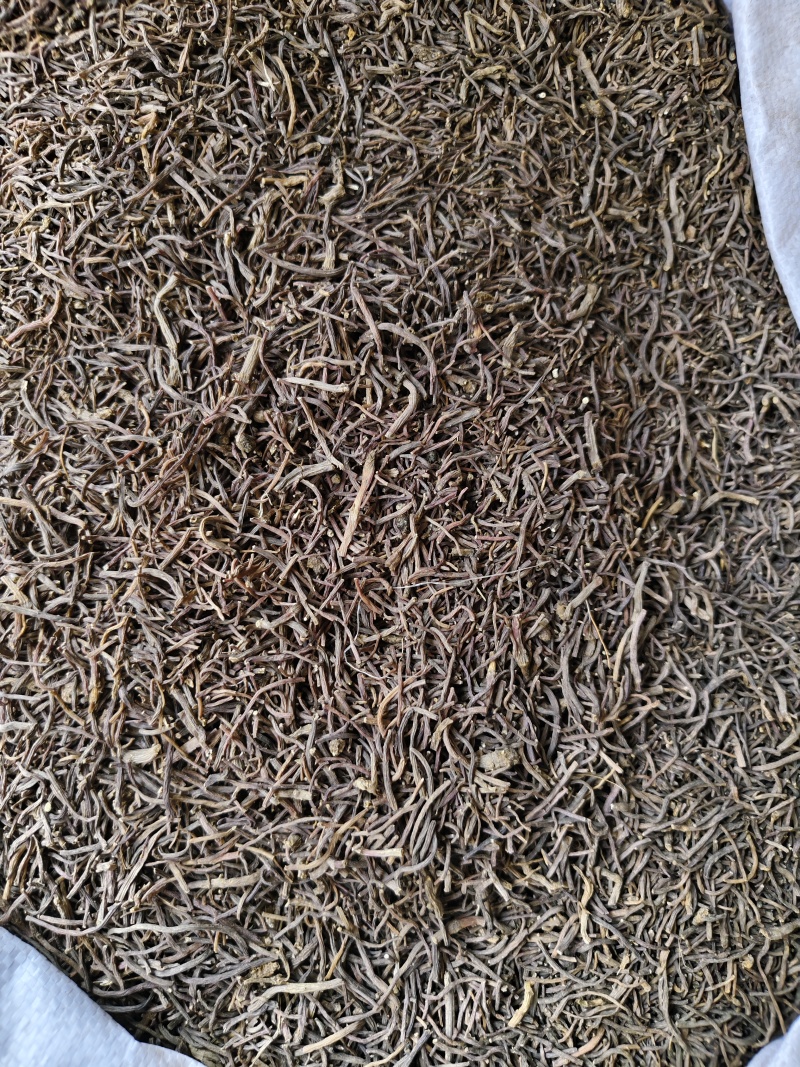 中药材紫菀河北正宗道地水洗紫菀根散装批发量大从优