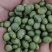 双青豆《百顺青豆》黑眉青豆,水法，炒货，烘焙、