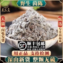 包邮）野生茵陈中药材500g250g2025新货三月绵茵