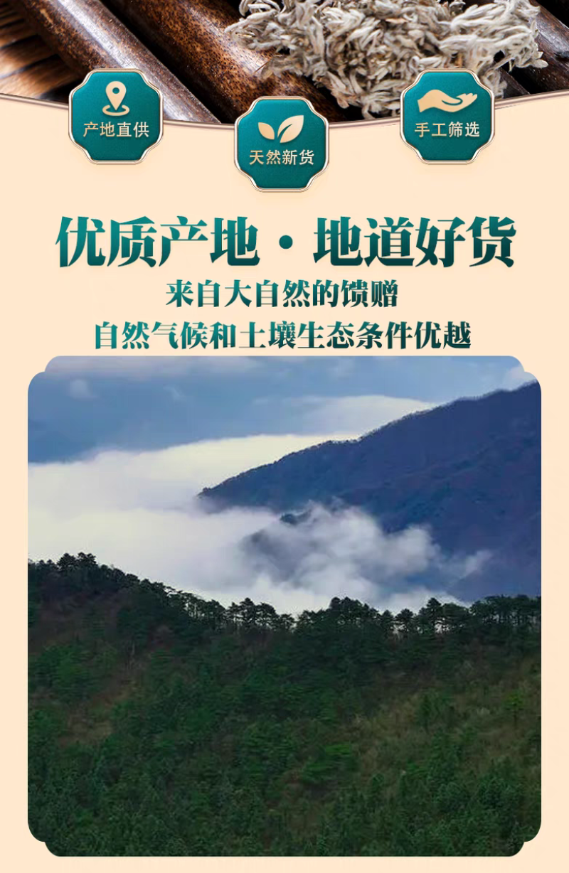 包邮）野生茵陈中药材500g250g2025新货三月绵茵