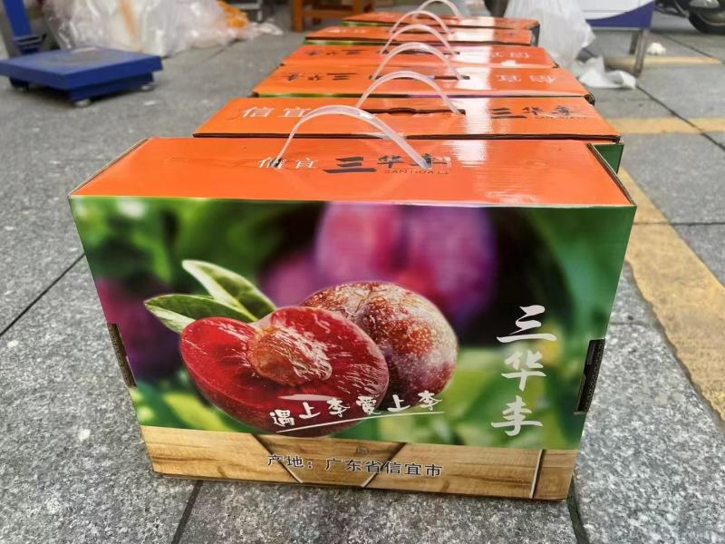 三华李产于高山云绕，汁多果脆，美味爽口