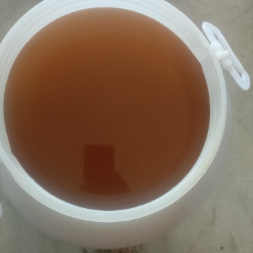 南阳小米黄酒