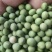 普通双青豆、可以做青豆面、青豆粉、品质保证