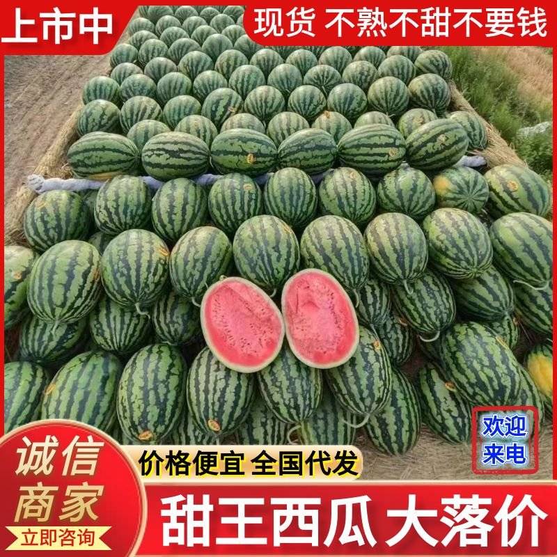[甜王西瓜批发]陕西渭南蒲城县西瓜 0.30元/斤甜王西瓜/陕西 _ 一亩田