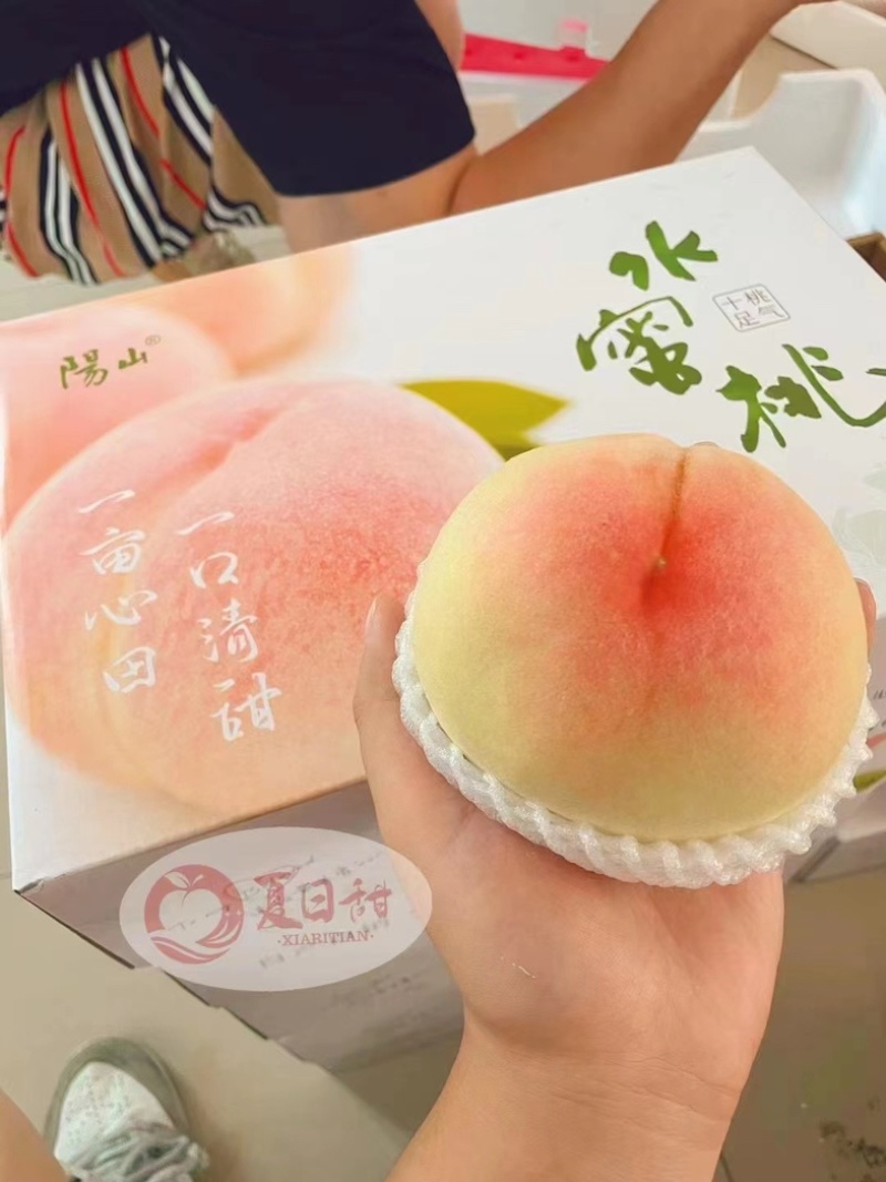 线上接单，专业电商代发，公司福利，专业代发