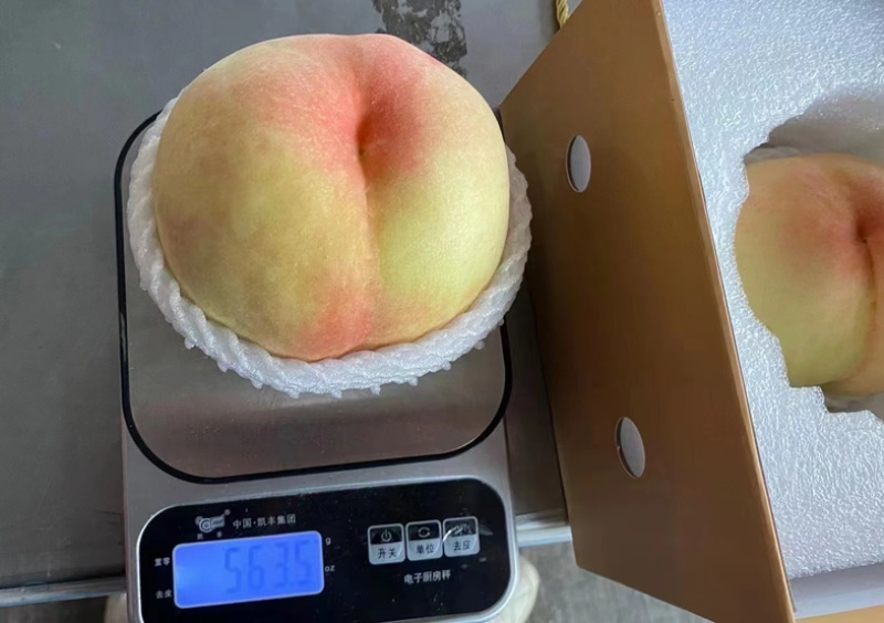 线上接单，专业电商代发，公司福利，专业代发