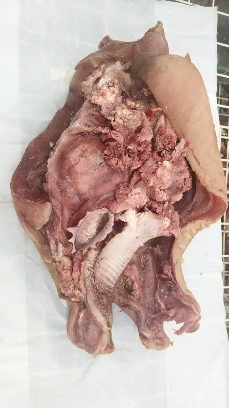 全国供应牛头肉产地直发品质保证尽享美味生活