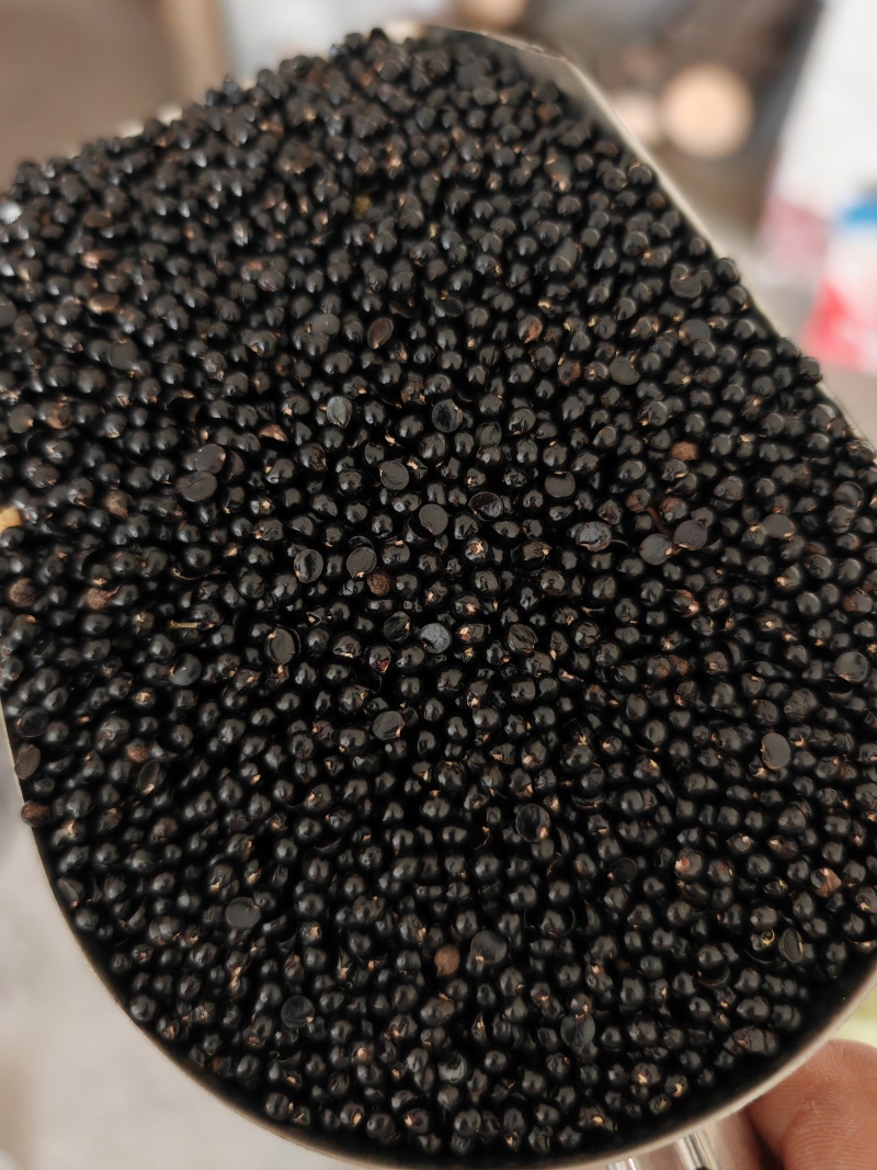 重庆江津花椒籽，饲料原料，装枕头喂鸽子，泡脚