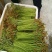 新鲜蕨菜