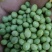 青豆,青豆芽苗菜专用货源充足量大从优诚信经营
