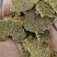 棉籽饼，蛋白30，脂肪7个，育肥效果好，全国发货。
