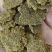 棉籽饼，蛋白30，脂肪7个，育肥效果好，全国发货。