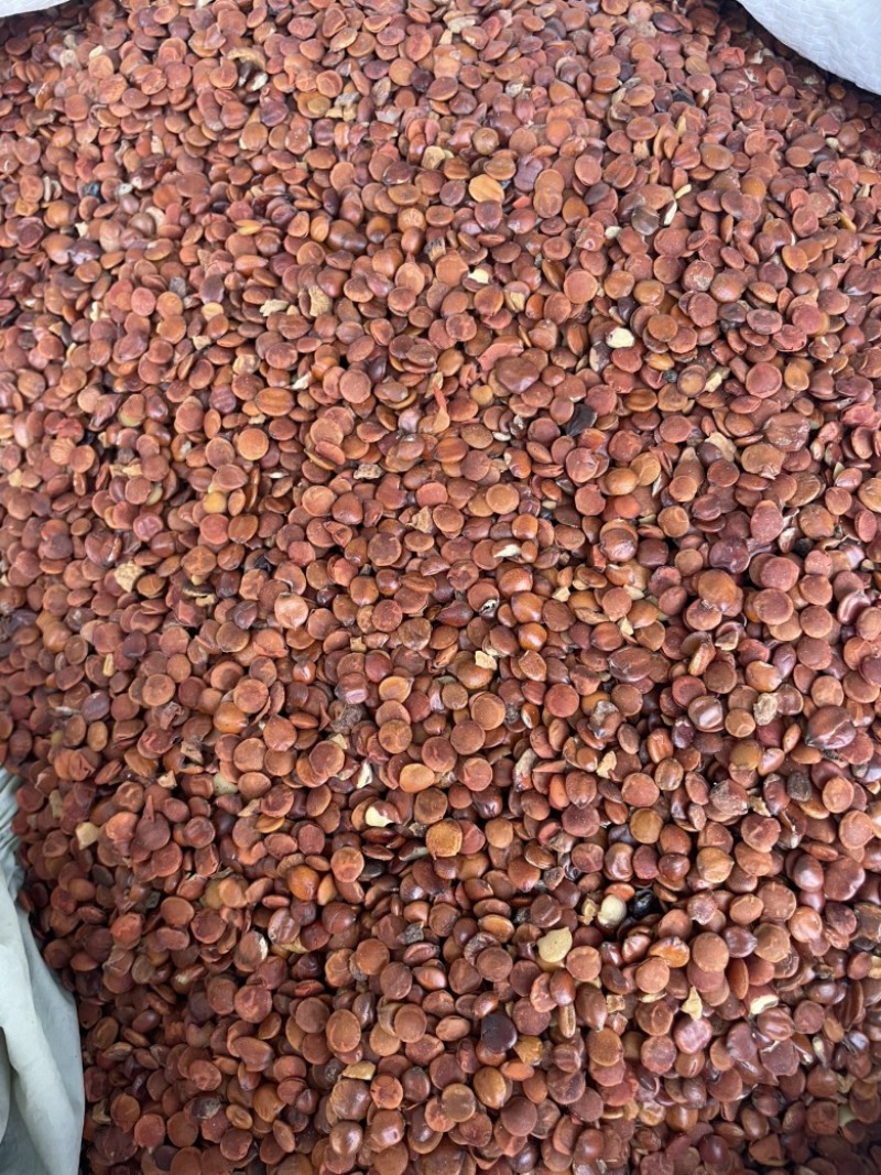 源头直供枣仁大量现货可零售批发质量保证欢迎订购