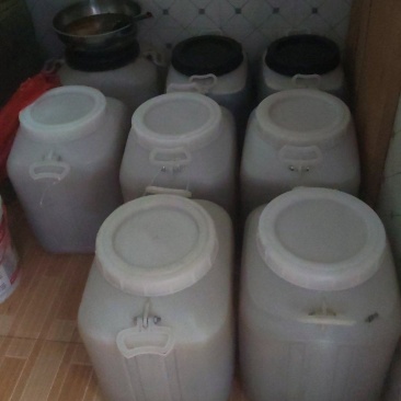 蜂蜜，5月11日，现场摇，
